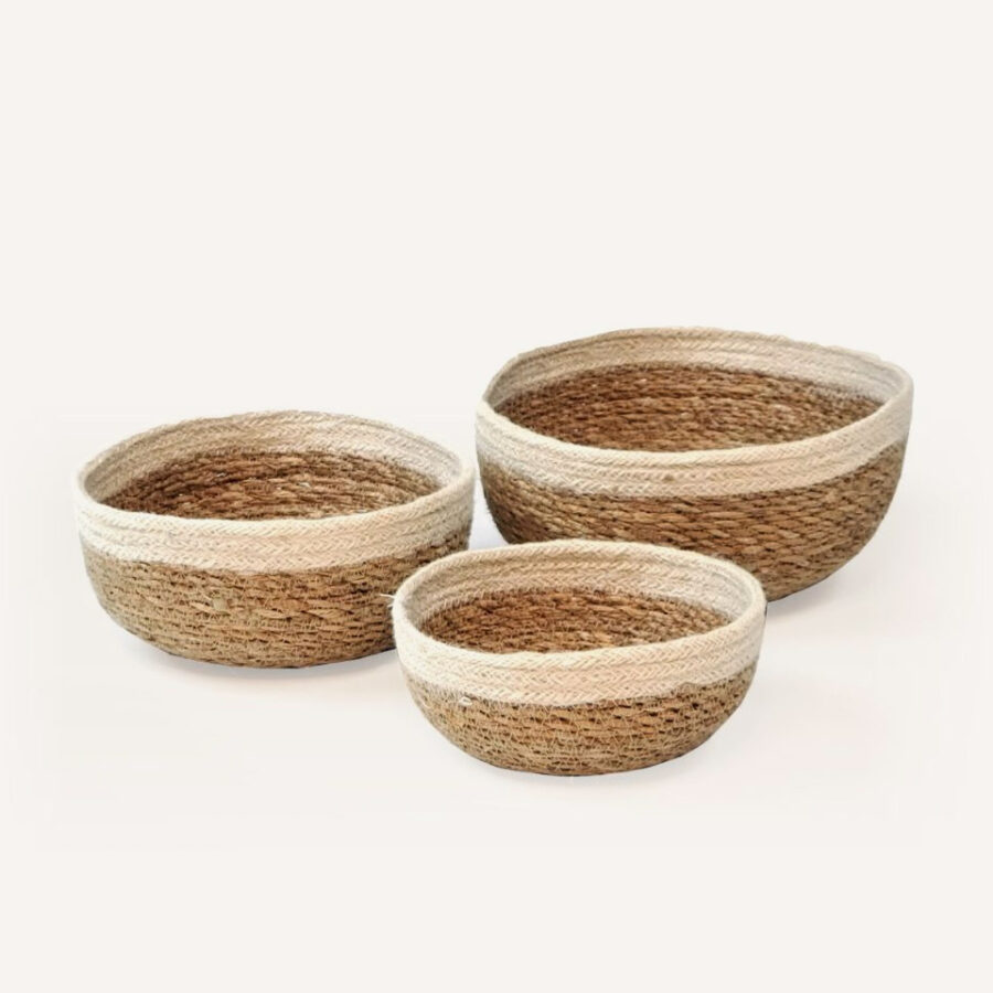 product_24_1